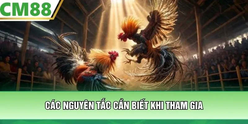 Các nguyên tắc cần biết khi tham gia