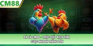 Đá Gà CM88 – Trực Tiếp Kịch Tính, Cược Nhanh Thắng Lớn