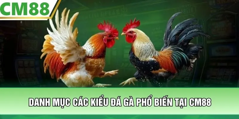 Danh mục các kiểu đá gà phổ biến tại CM88