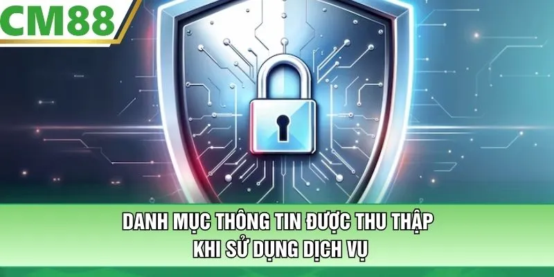 Danh mục thông tin được thu thập khi sử dụng dịch vụ